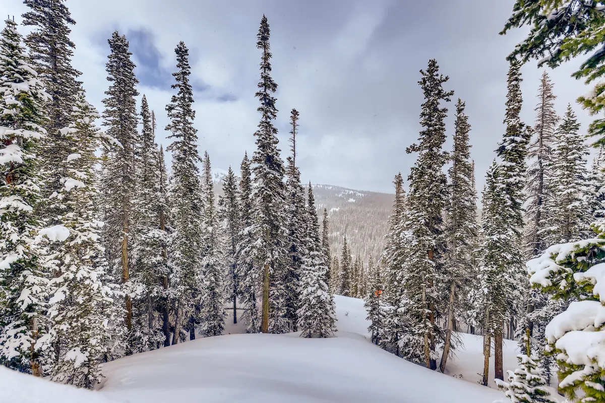 vacant lot for sale in breckenridge