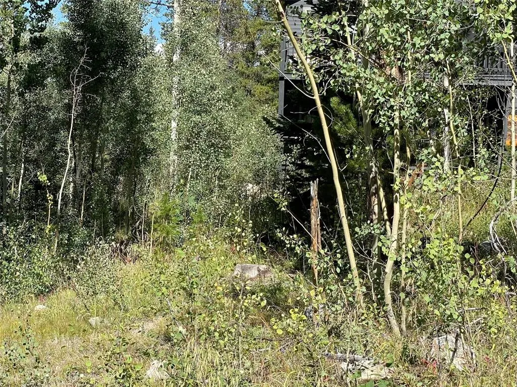 Lot for Sale in Breckenridge 2