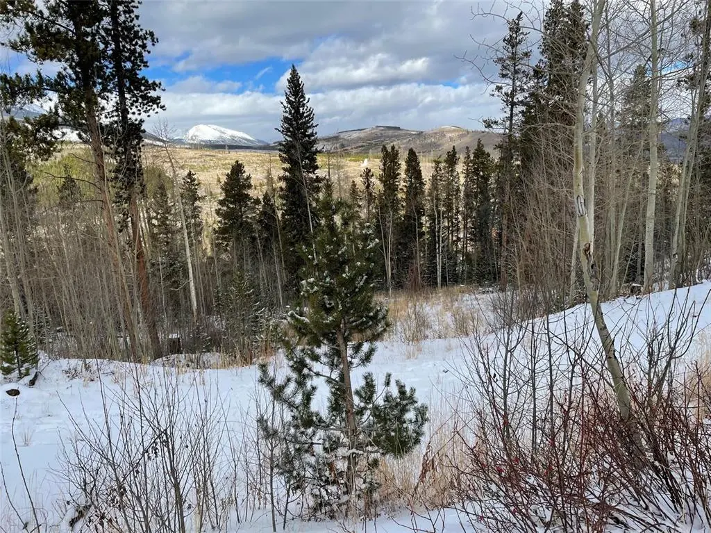 Lot for Sale in Breckenridge 6