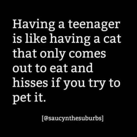 White text on a black background says: Having a teenager is like having a cat that only comes out to eat and hisses if you try to pet it. [@saucyinthesuburbs].