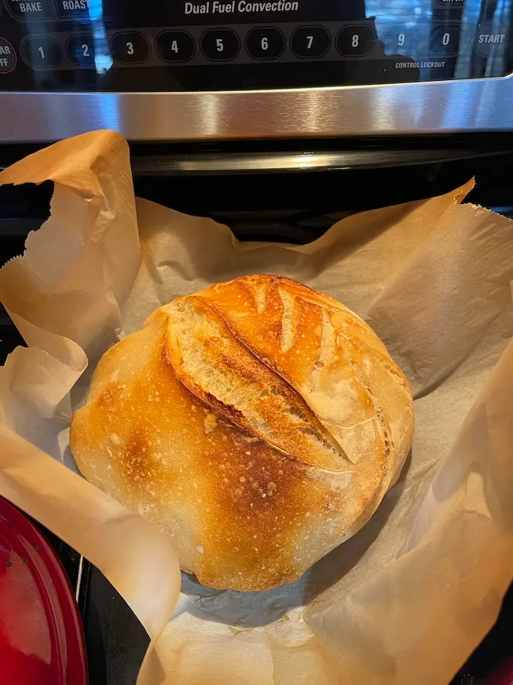 sourdough