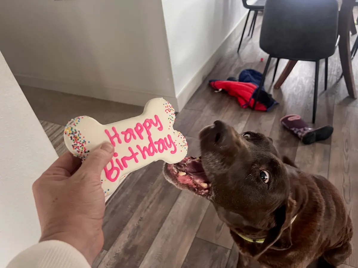 Birthday Cookie