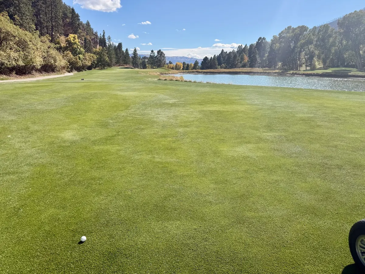 Golfing