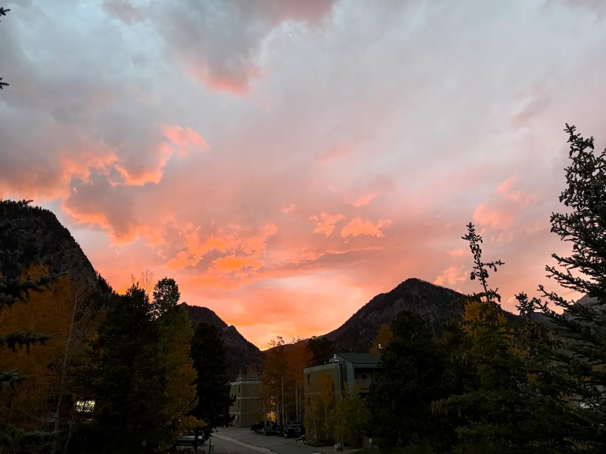 Pink Sunset