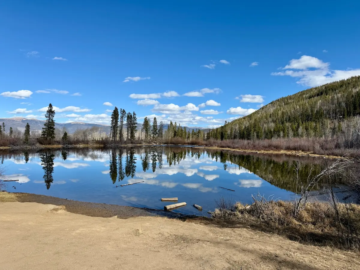 Lilypad Lake